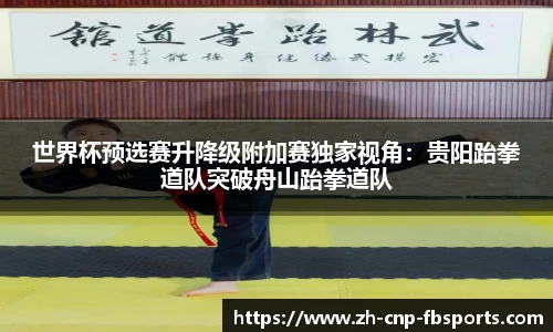 世界杯预选赛升降级附加赛独家视角：贵阳跆拳道队突破舟山跆拳道队